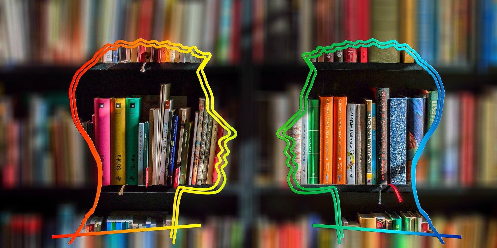Zwei Köpfe vor einem Bücherregal
